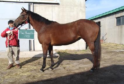 �ٸӸ��Ϳ����̿� ����