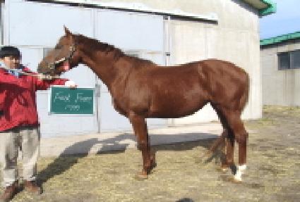 �н�Ʈ��� ����