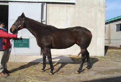 �ٸ����� ����