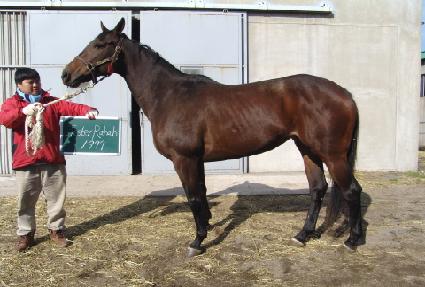 �罺�Ͷ��� ����