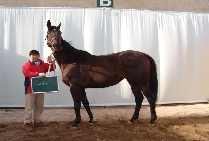 �������׸� ����