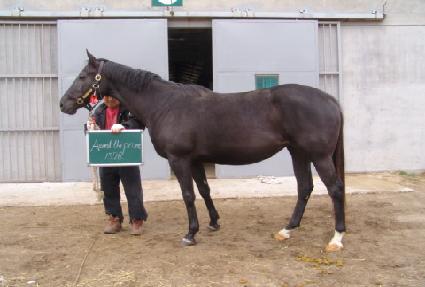 �������������� ����