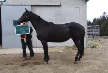 ������ ����