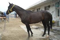 �������� (MUNSUDAEJE) ����