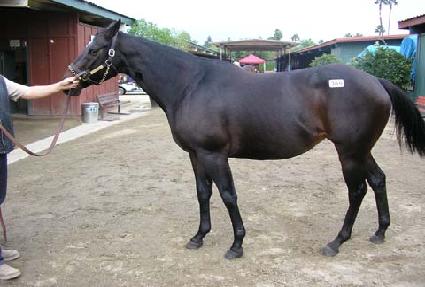 �ӽ�Ʈ����̸��� ����