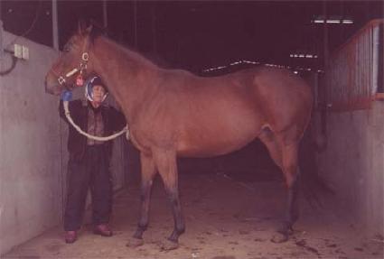 �̽���������Ʃ ����