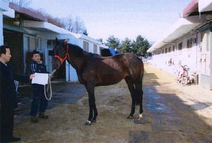 �����ִϾ� ����