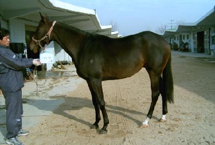 �ް����� ����