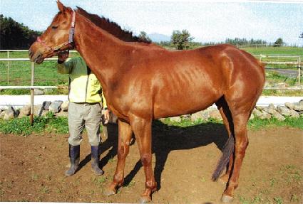 �������� ����