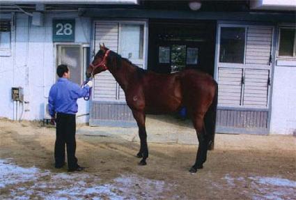 ����ŷ ����