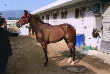 ���н��� ����