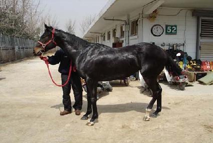 ������ ����