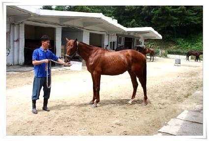 ������õ ����