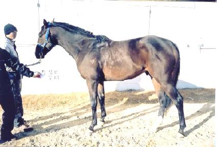 �����ǰ��� ����