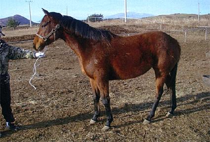 �������� ����