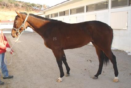 �¸��ڻ� ����