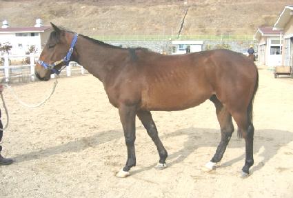 ���ѻ��� ����