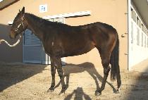 �������� (JOEUN NARAE) ����