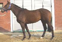 ��´�� (USEUNG DAERYUK) ����