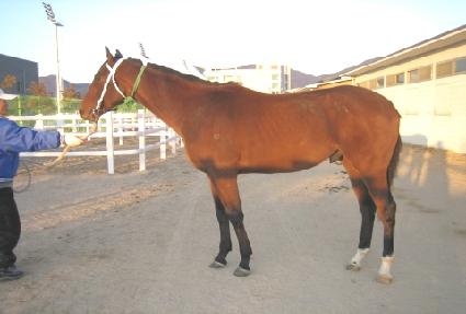 �����̱� ����