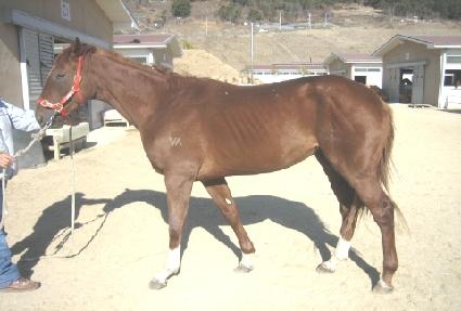 ����ظ� ����