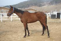 ������� (NORYEOK JEONGSANG) ����