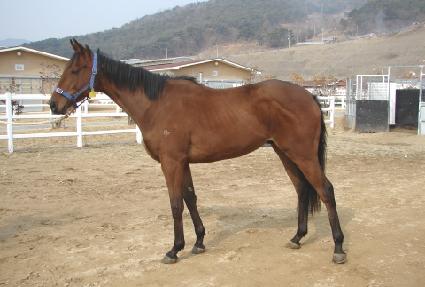 ������� ����