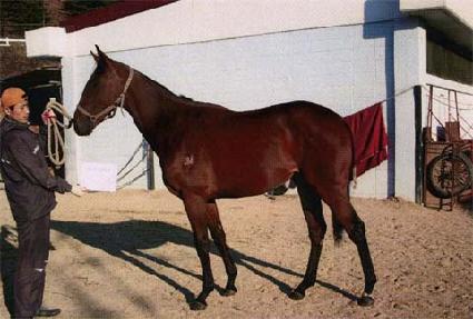 ���ĸ��� ����