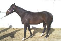 �����ġ (JANGWON JANCHI) ����