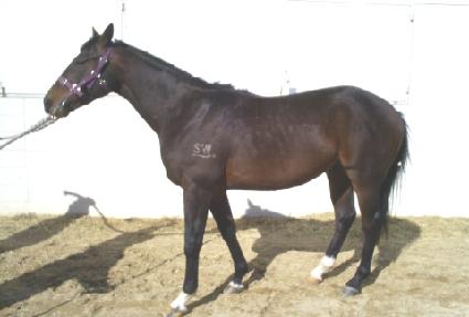 �����ġ ����