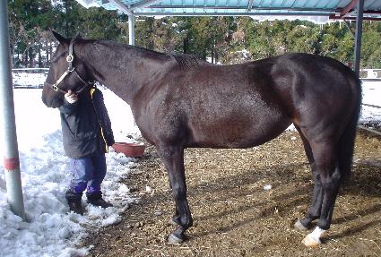 ����Ʈ���� ����