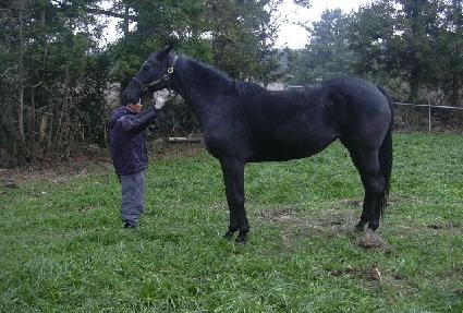 ����Ű���� ����