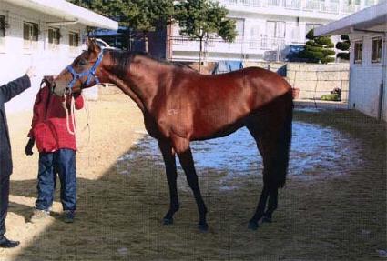 ö�� ����