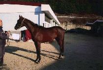 �̽��ͽ�ũ�� (MR SECRET) ����