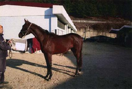 �̽��ͽ�ũ�� ����