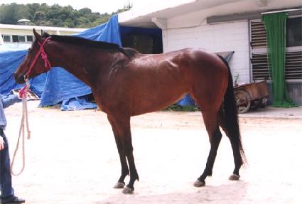 �ƶ����Ͻ� ����