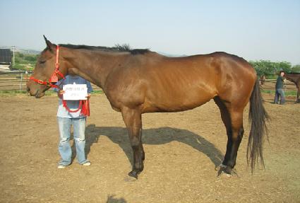 ����Ÿ�̰� ����