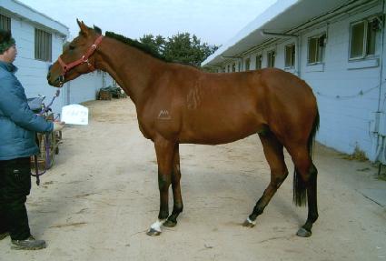 ��Ÿ�θ�� ����