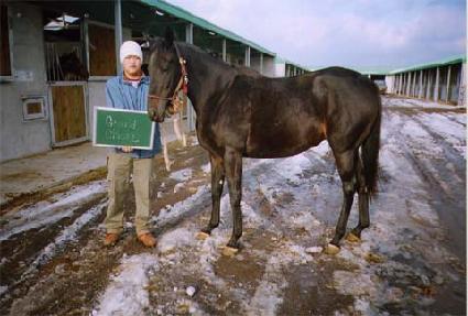 �׷������̽� ����