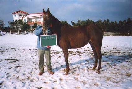 ���Ŵ��� ����