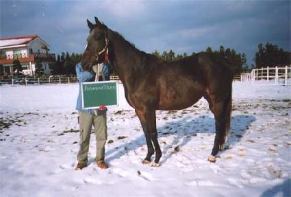 ���ټȽ��� ����