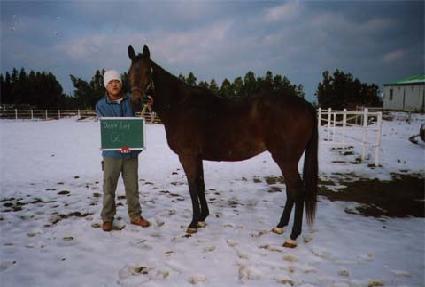 ������ ����