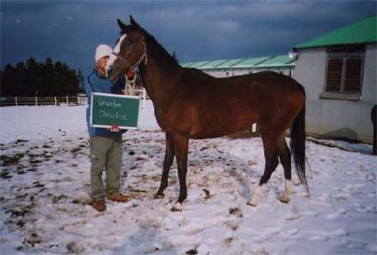 �׷��̽���ü��Ű ����