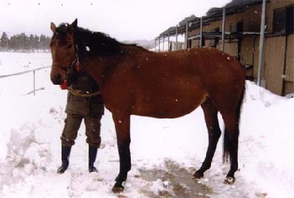 Ÿ��Ƽ�� ����