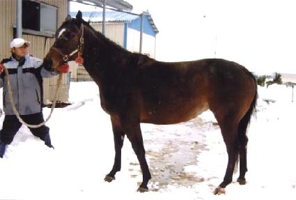 �ȷ��� ����