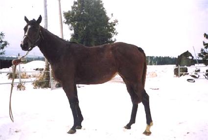 �˷����� ����