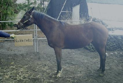 ��ŷ�¾��̽� ����