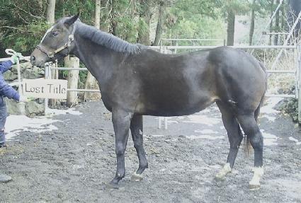 �ν�ƮŸ��Ʋ ����