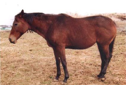 ��Ƽũ������Ʈ ����