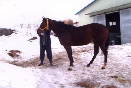 �۷θ������ ����